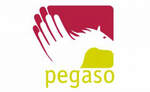 ​​FONDO PEGASO